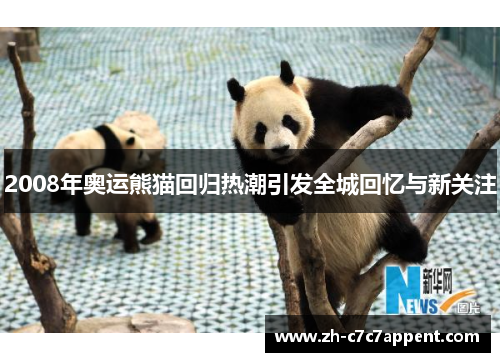 2008年奥运熊猫回归热潮引发全城回忆与新关注